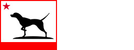 Cal Inspection Bureau